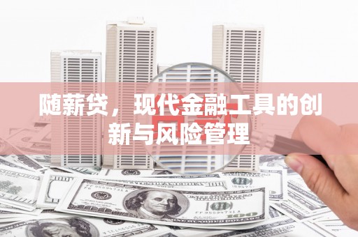 望谟随薪贷，现代金融工具的创新与风险管理