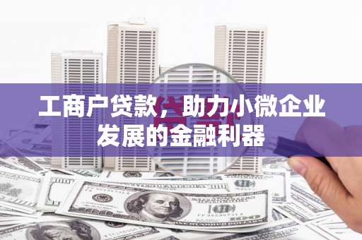 望谟工商户贷款，助力小微企业发展的金融利器