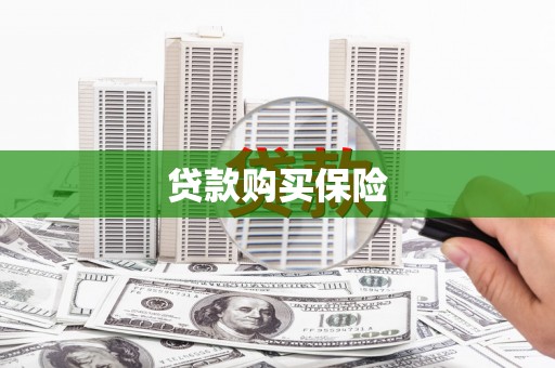 望谟贷款购买保险