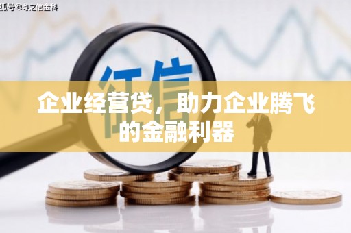 望谟企业经营贷，助力企业腾飞的金融利器