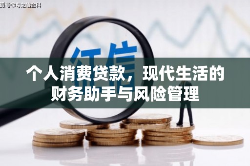 望谟个人消费贷款，现代生活的财务助手与风险管理