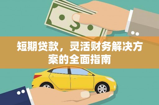 望谟短期贷款，灵活财务解决方案的全面指南