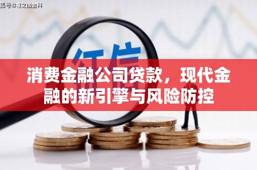 望谟消费金融公司贷款，现代金融的新引擎与风险防控