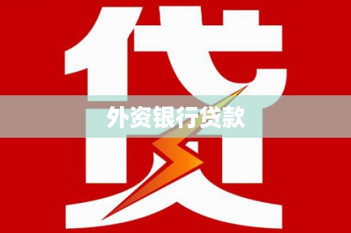 望谟外资银行贷款