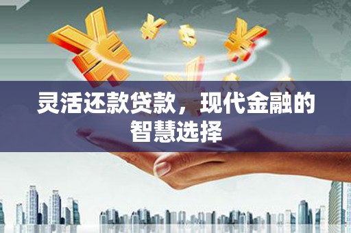 望谟灵活还款贷款，现代金融的智慧选择