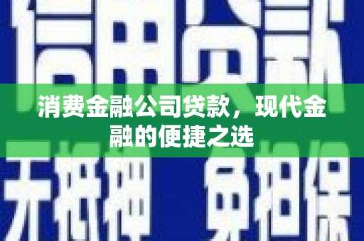 望谟消费金融公司贷款，现代金融的便捷之选