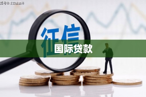望谟国际贷款