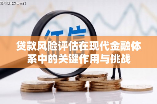 望谟贷款风险评估在现代金融体系中的关键作用与挑战