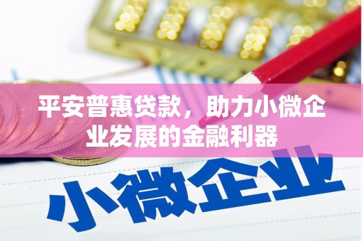 望谟平安普惠贷款，助力小微企业发展的金融利器