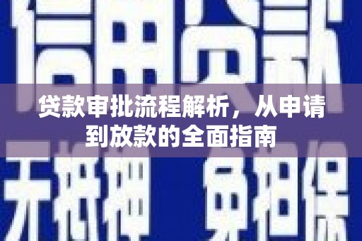 望谟贷款审批流程解析，从申请到放款的全面指南