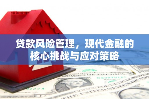望谟贷款风险管理，现代金融的核心挑战与应对策略