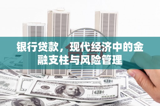 望谟银行贷款，现代经济中的金融支柱与风险管理