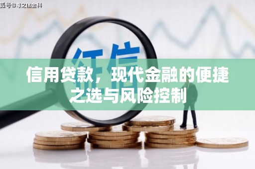 望谟信用贷款，现代金融的便捷之选与风险控制