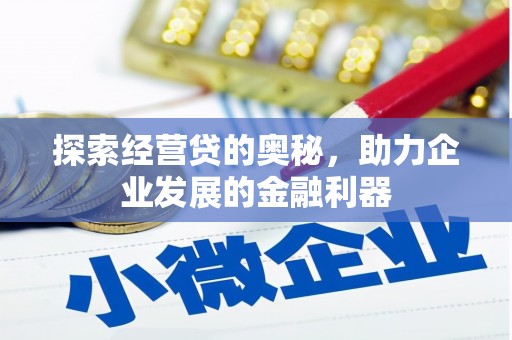 望谟探索经营贷的奥秘，助力企业发展的金融利器