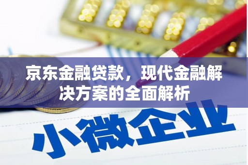望谟京东金融贷款，现代金融解决方案的全面解析
