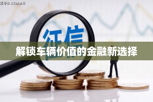 望谟解锁车辆价值的金融新选择