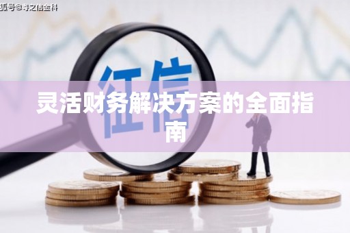 望谟灵活财务解决方案的全面指南