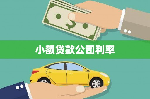 望谟小额贷款公司利率