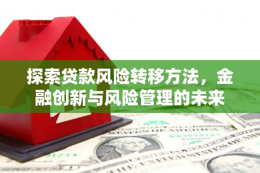 望谟探索贷款风险转移方法，金融创新与风险管理的未来
