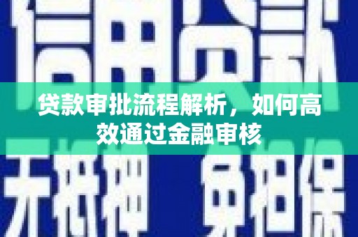 望谟贷款审批流程解析，如何高效通过金融审核