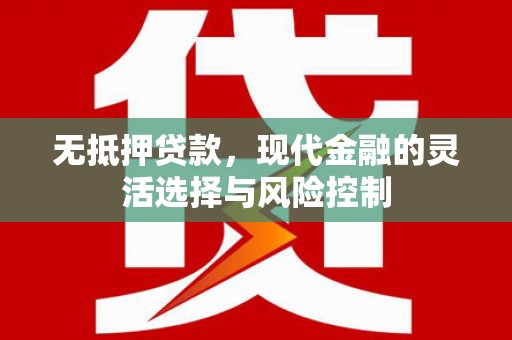 望谟无抵押贷款，现代金融的灵活选择与风险控制