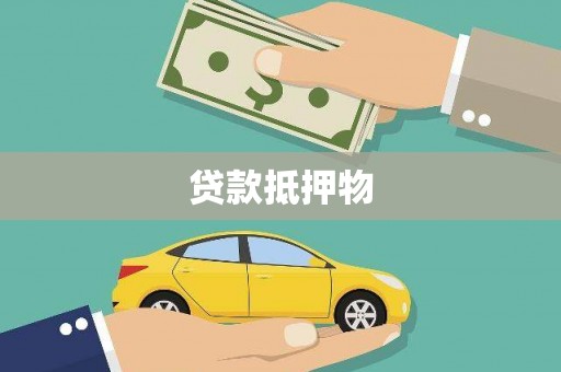 望谟贷款抵押物