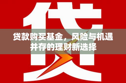 望谟贷款购买基金，风险与机遇并存的理财新选择