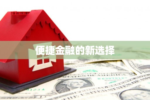 望谟便捷金融的新选择