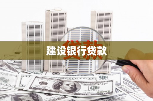 望谟建设银行贷款