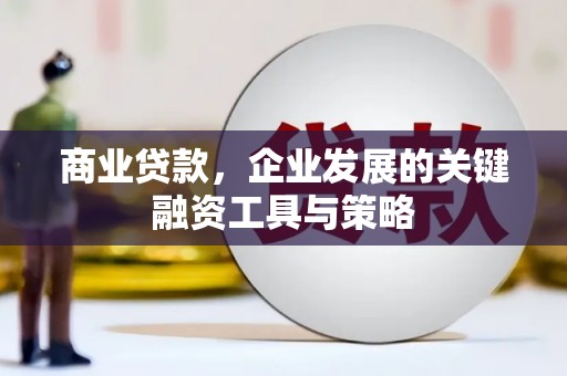 望谟商业贷款，企业发展的关键融资工具与策略