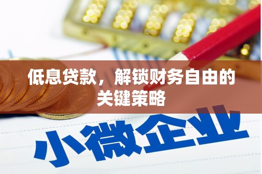 望谟低息贷款，解锁财务自由的关键策略