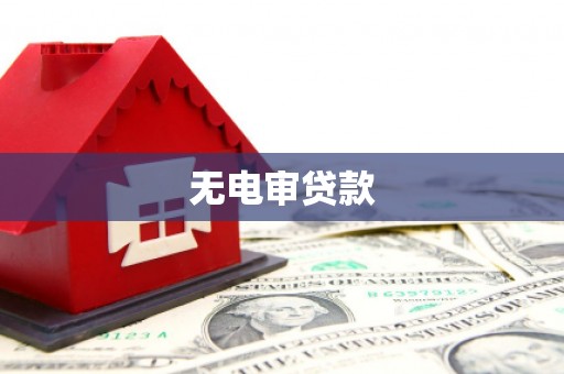 望谟无电审贷款