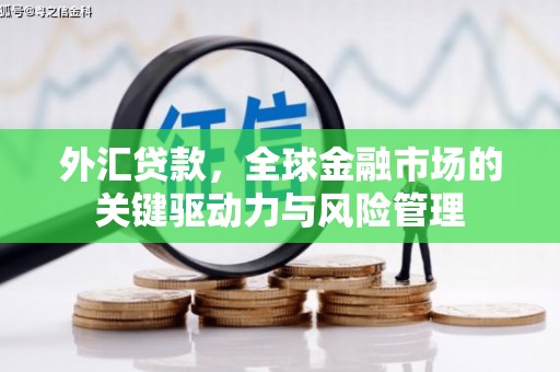 望谟外汇贷款，全球金融市场的关键驱动力与风险管理