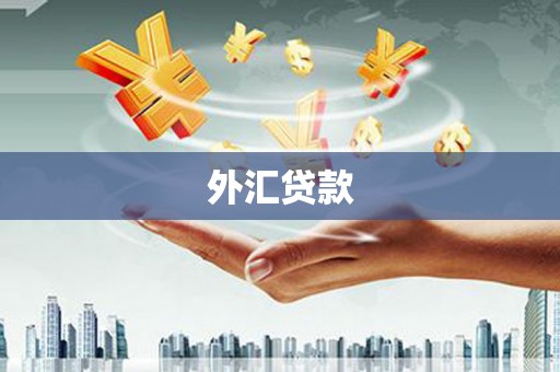 望谟外汇贷款