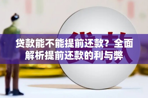 望谟贷款能不能提前还款？全面解析提前还款的利与弊