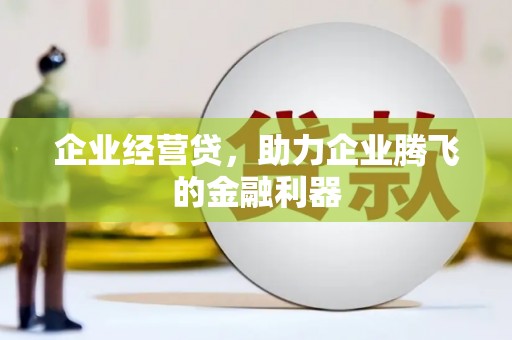 望谟企业经营贷，助力企业腾飞的金融利器