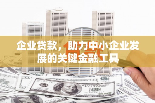 望谟企业贷款，助力中小企业发展的关键金融工具