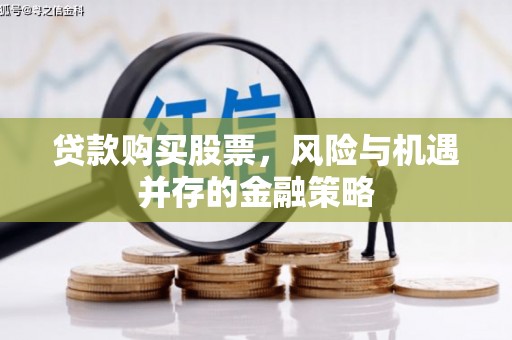 望谟贷款购买股票，风险与机遇并存的金融策略
