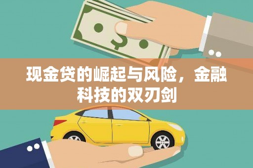 望谟现金贷的崛起与风险，金融科技的双刃剑