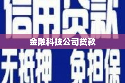望谟金融科技公司贷款