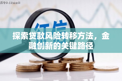 望谟探索贷款风险转移方法，金融创新的关键路径