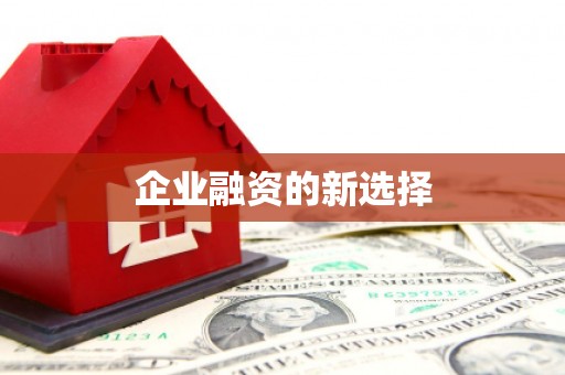 望谟企业融资的新选择