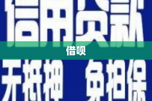 望谟借呗