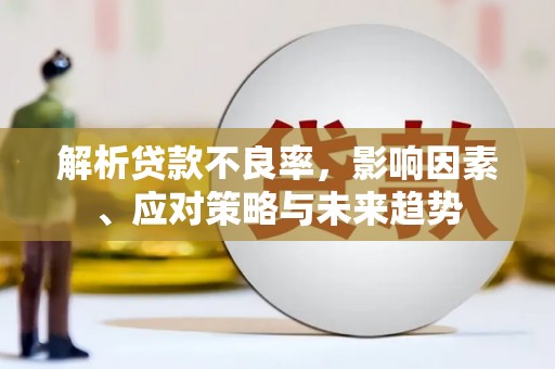 望谟解析贷款不良率，影响因素、应对策略与未来趋势