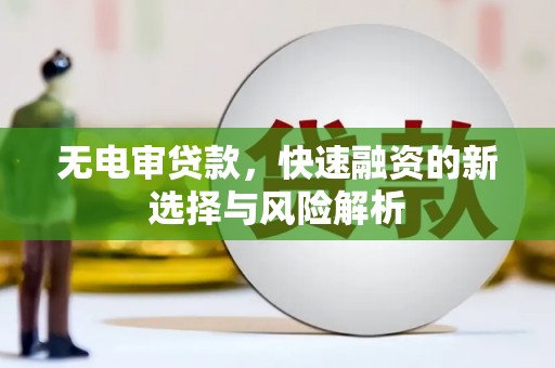 望谟无电审贷款，快速融资的新选择与风险解析