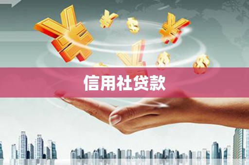 望谟信用社贷款