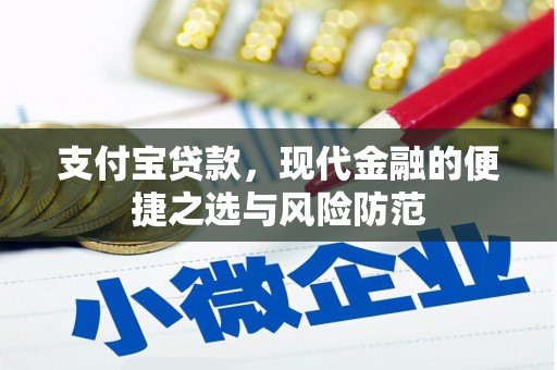 望谟支付宝贷款，现代金融的便捷之选与风险防范