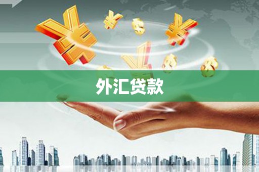 望谟外汇贷款