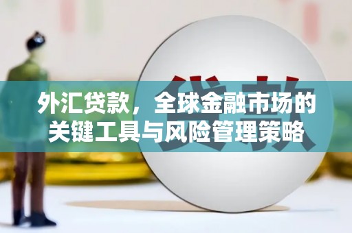望谟外汇贷款，全球金融市场的关键工具与风险管理策略