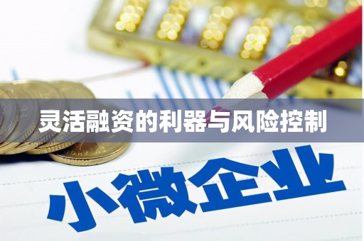 望谟灵活融资的利器与风险控制